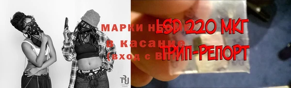 apvp Алексин
