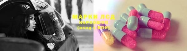 apvp Алексин
