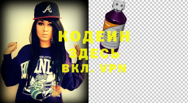 apvp Алексин