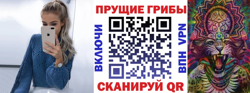 магазин продажи наркотиков  Кизел  Псилоцибиновые грибы MAGIC MUSHROOMS 